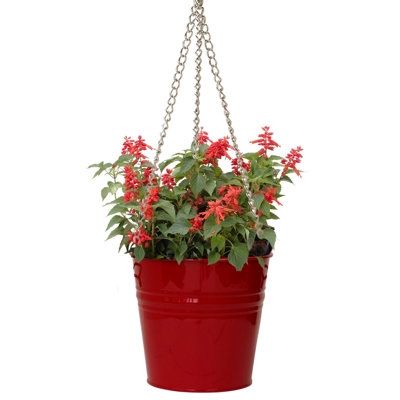 Pot de fleurs galvanisé émaillé Abbie