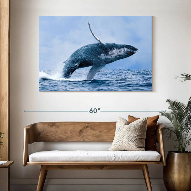 Baleine à bosse Brampt, H 32 po x l 48 po