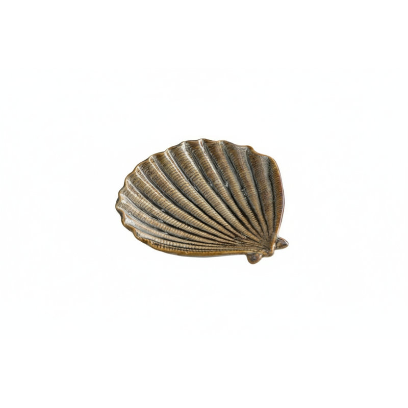 Jewelry Tray - Dual-Color Ceramic Starfish, Brown, Scallops