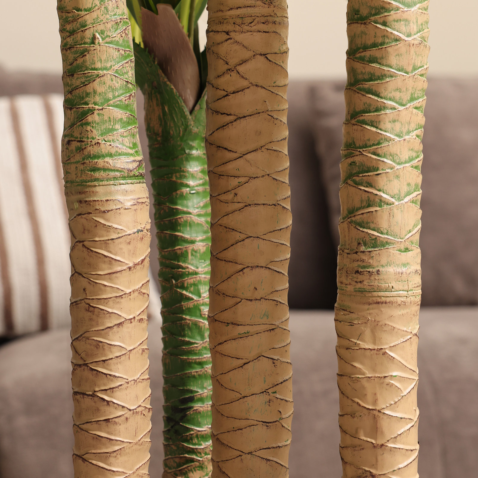 Romney Dracaena Tree in Planter, 84" H x 30" W