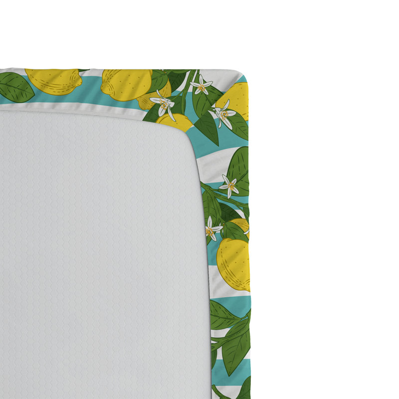 Ensemble de 2 draps-housse Ambesonne Lemons, Drap-housse de taille double
