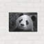 «Giant Panda» par SD Smart, art mural en métal-573879819