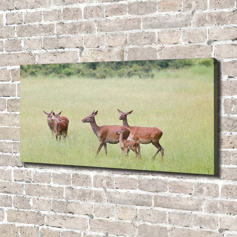 Roe With Young - Wrapped Canvas Print