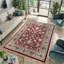Sevanna Oriental Indoor Rug-208028160