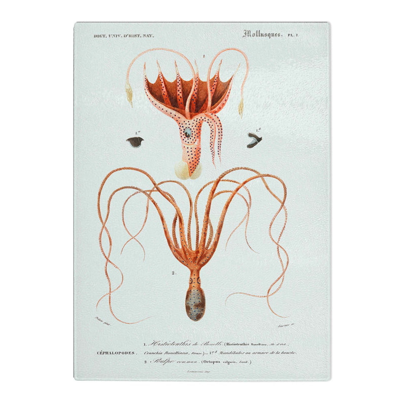 Tempered Glass Octopus & Squid by Charles D' Orbigny Chopping Board, 20 cm x 28.5 cm