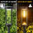 Solar Powered Integrated LED Pathway Light