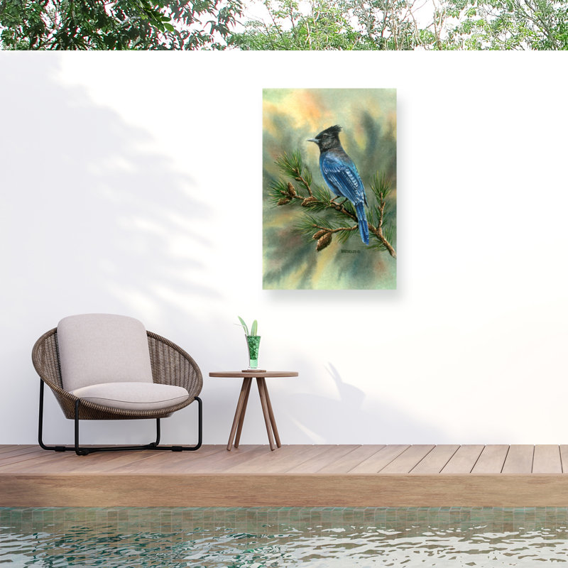 Toile d'extérieur Dave Bartholet Stellar Jay, H 12 po x l 19 po