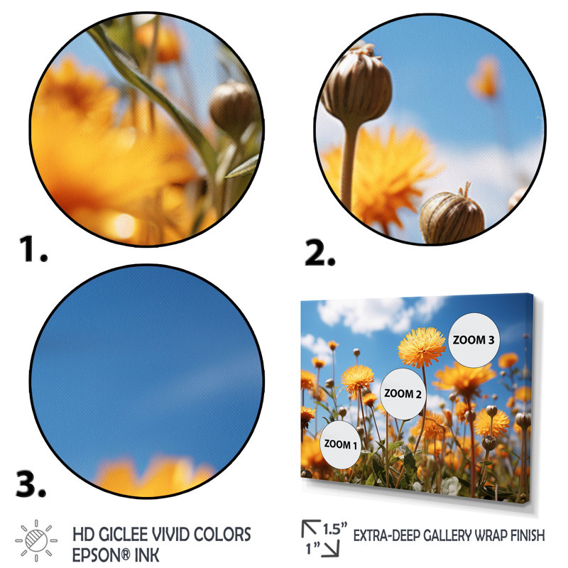 Dandelion Sunlit Petals II - impressions murales florales, H 30 po x l 40 po, Toile tendue