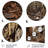 Canyon Passage Landscape & Nature Wall Decor on Metal