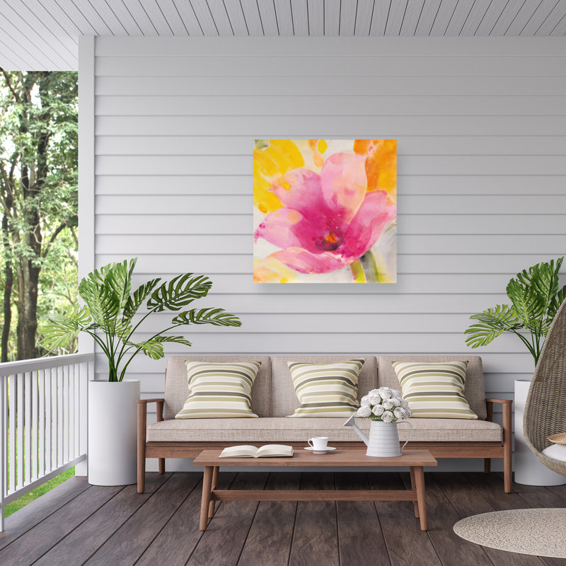 Récolte des dahlias côtiers bolognaise, H 35 po x l 35 po