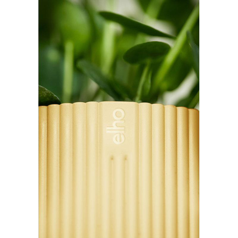 Pot Planter, 12.9cm H x 14.1cm W x 14.1cm D, Butter Yellow