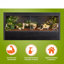 Grand terrarium Deneishia-52916583-101483204