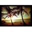 Coucher de soleil de Bimini par Susan Bryant - photographie-64742486-64742489