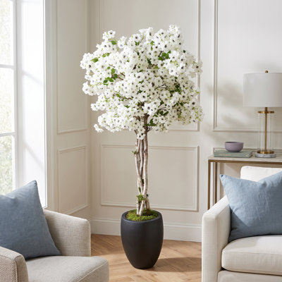 Cherry Blossom Tree in Fiberstone Pot