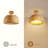 Flush Mount Ceiling Light