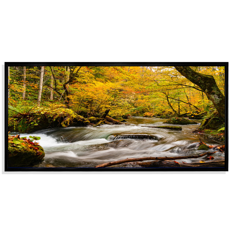 " Mountain Stream In Autumn Colours ", Black Framed, 8" H x 12" W x 1" D
