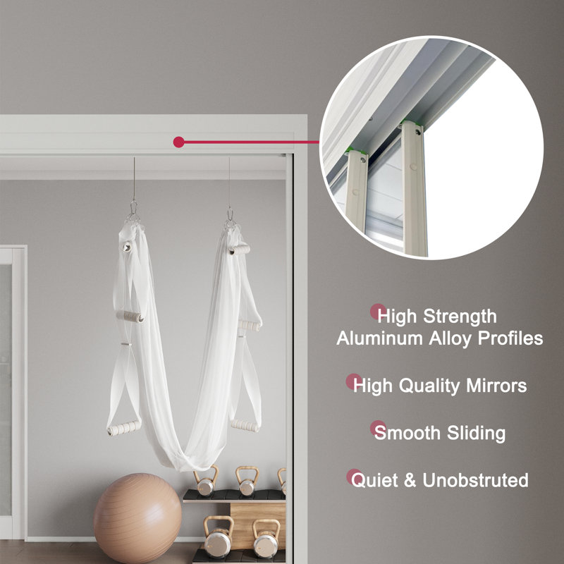 Double Aluminlum Mirror 80'' Single Glass Pane Metallic Sliding Closet Doors, 144" x 80"