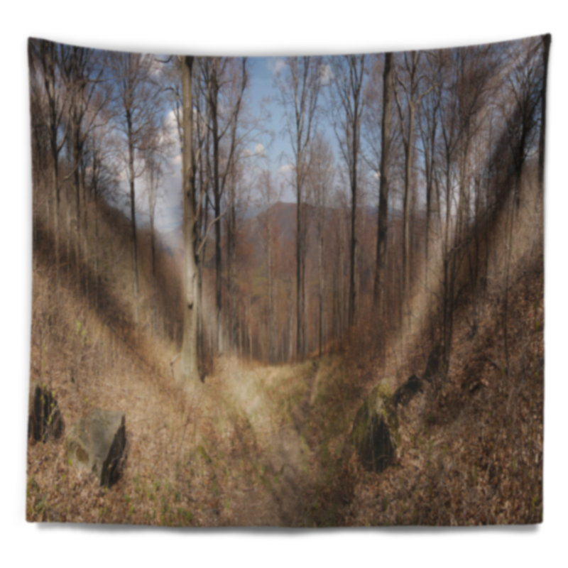 Polyester Tapestry, 50" H x 60" W