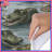 Polyester Duvet Cover-1196838433