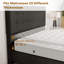 Lit double tapissier avec 4 tiroirs de rangement, tête de lit capitonnée en velours, sans sommier-130085736-130085739