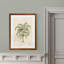 « palmierss iii » par paul cezanne-reproduction d’art sur image-300102808-357980995-357981005