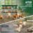 10 Compartments Metal Chicken Nesting Boxes, Nesting Boxes, Chicken Laying Box With Roll Out Egg Collection With Vented Holes-1053640276