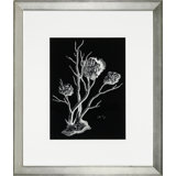 Black And White Coral II Print