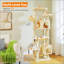 Arbre à chat 69 po pour grands chats d'intérieur-895444178