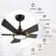 Ventilateur de plafond extérieur noir avec lumière-736818561