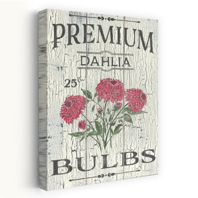 Dahlia Bulbs Traditional Dahlia Spring Flower Art