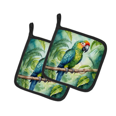 Paire de poignées Amazon Parrot