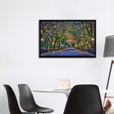 «Central Park Night» par David Gardiner - reproduction de photo