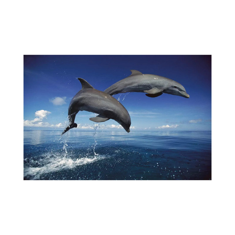 Bottlenose Dolphin Pair Jumping, Caribbean by Konrad Wothe - Wrapped Canvas Print