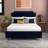 Early Bird Twin 6" Medium Gel Memory Foam Mattress-92440005-111567705