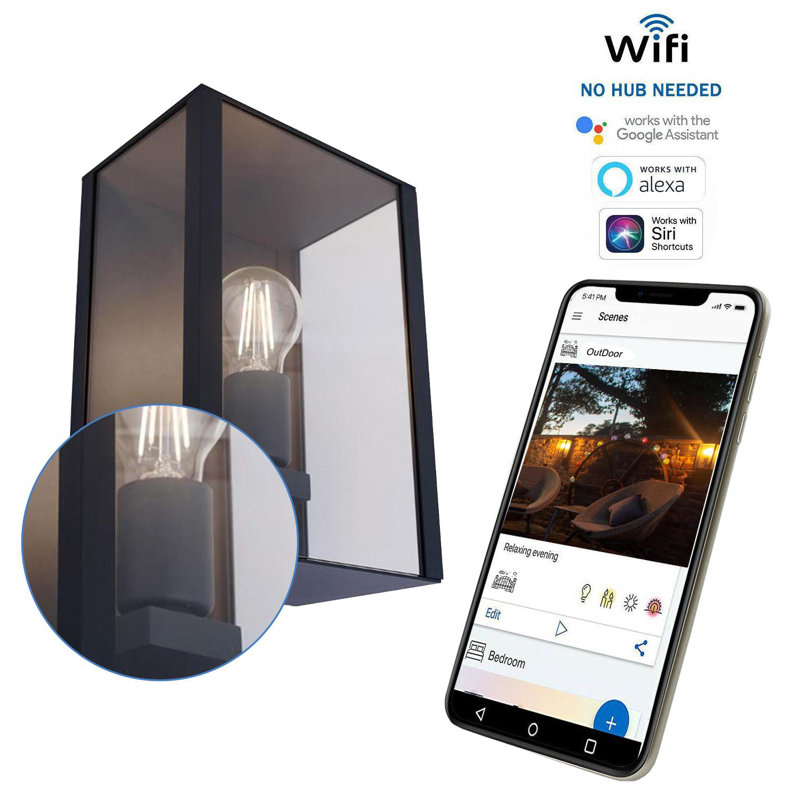 1 - Bulb 19 cm H Hardwired Integrated LED Outdoor Wall Lantern