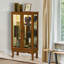 Vitrine lumineuse avec tablettes réglables et dossier en miroir, portes en verre trempé pour objets de collection-1642657858