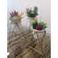Viola Metal Planter