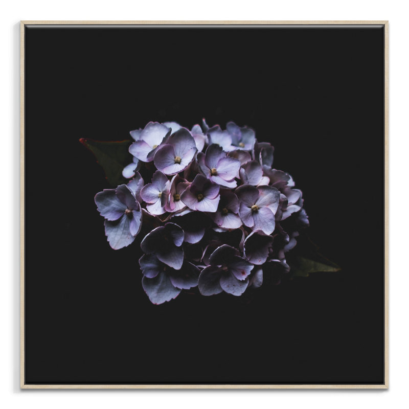 Print on Canvas, Wrapped Canvas, 76cm H x 76cm W