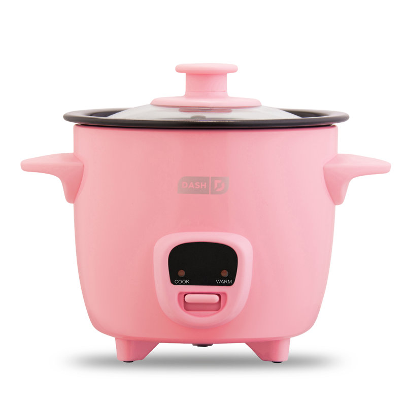 Dash 2 Cup Mini Rice Cooker, Aqua