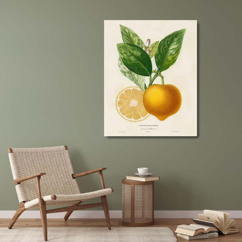 Art sur toile tendue, Rosalind Wheeler Risso, A., French Lemon Botanical III, H 34 po x l 28 po