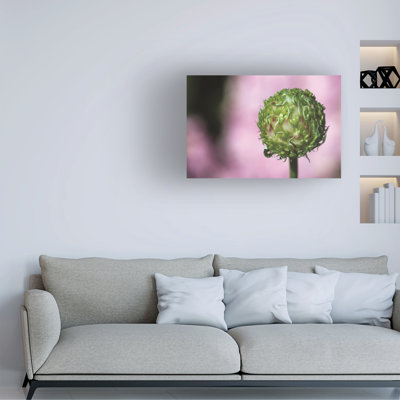 Art sur toile rose, bol de têtes d'ail sur un rose Kolog Shaffer