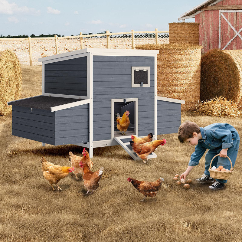 Spacieux poulailler en bois pour 2 ou 3 poules, cage de jardin avec boîtes de nid