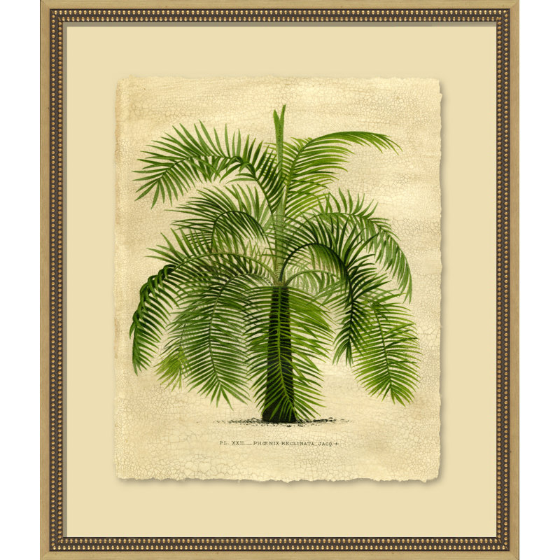 Island Palm II Painting
