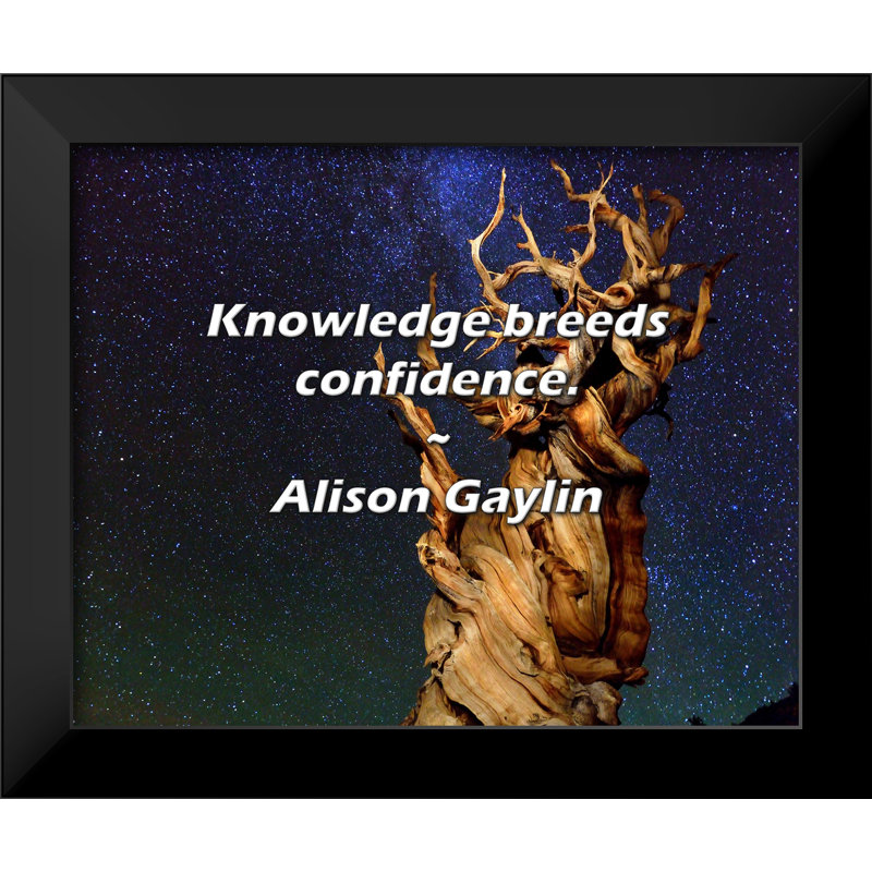 Alison Gaylin Citation: Le savoir engendre la confiance.