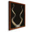 Spiral Antelope Horns, reproduction d'art sur toile-88379969-88379972