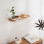 Irregular Wood Floating Shelf