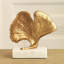 Feuille de ginkgo-20578503