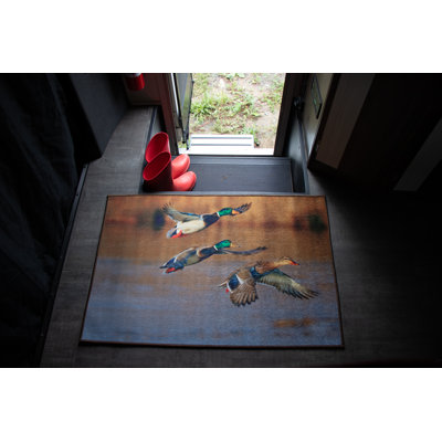 Tapis canard