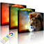 Lion Abstract by No - Wrapped Canvas Print-49671834-49671838