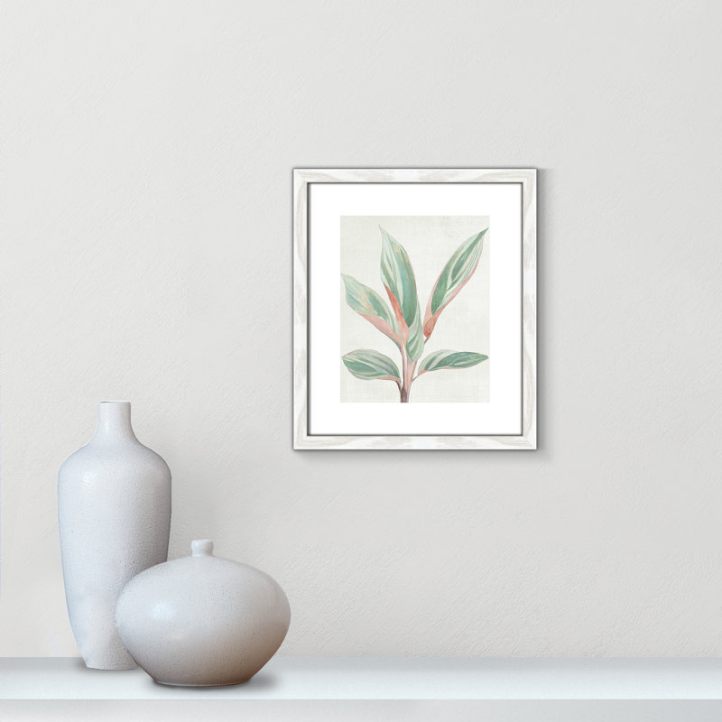 Ginger Plant I - reproduction d'art, Papier avec cadre en bois blanc, H 15 po x l 13 po x P 0,75 po